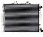 Radiateur renforcé<br>RZR 800